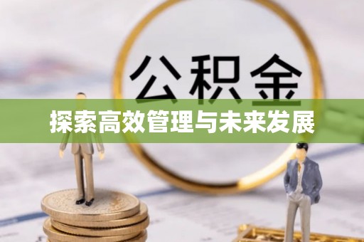 武侯探索高效管理与未来发展