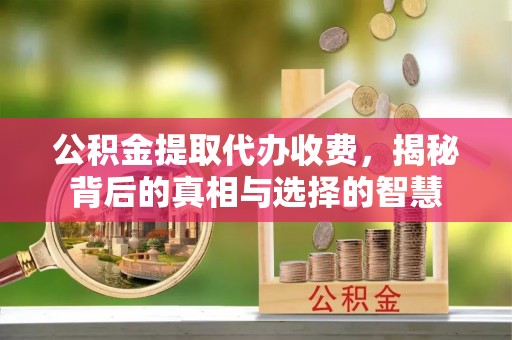 武侯公积金提取代办收费，揭秘背后的真相与选择的智慧