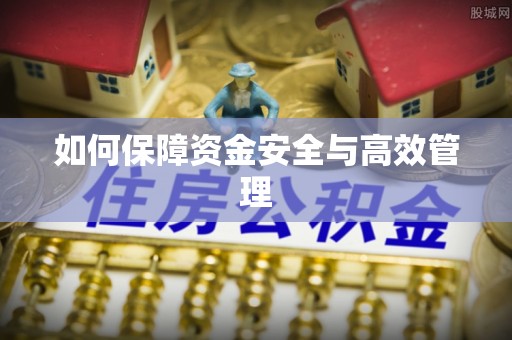 武侯如何保障资金安全与高效管理