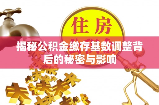 武侯揭秘公积金缴存基数调整背后的秘密与影响