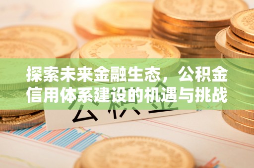 武侯探索未来金融生态，公积金信用体系建设的机遇与挑战