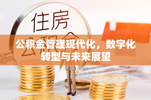 武侯公积金管理现代化，数字化转型与未来展望