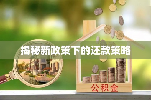 武侯揭秘新政策下的还款策略