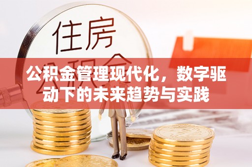 武侯公积金管理现代化，数字驱动下的未来趋势与实践