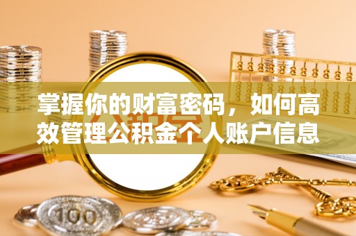 武侯掌握你的财富密码，如何高效管理公积金个人账户信息
