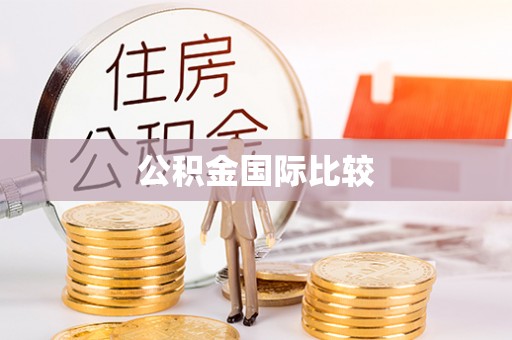 武侯公积金国际比较