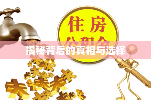 武侯揭秘背后的真相与选择