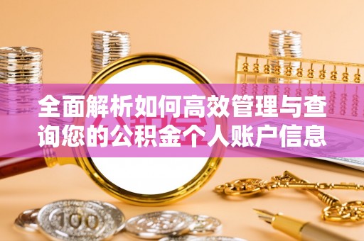 武侯全面解析如何高效管理与查询您的公积金个人账户信息