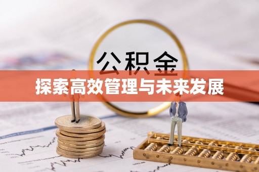 武侯探索高效管理与未来发展