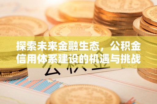 武侯探索未来金融生态，公积金信用体系建设的机遇与挑战