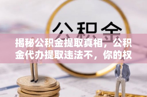 武侯揭秘公积金提取真相，公积金代办提取违法不，你的权益如何保障？