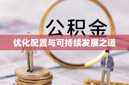 武侯优化配置与可持续发展之道