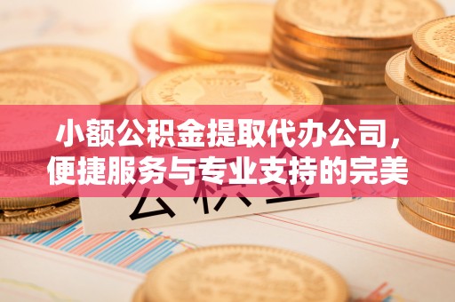武侯小额公积金提取代办公司，便捷服务与专业支持的完美结合