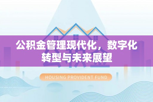 武侯公积金管理现代化，数字化转型与未来展望