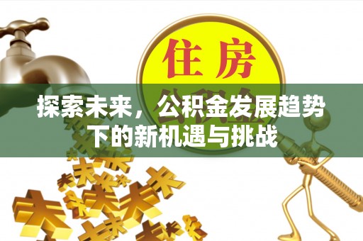 武侯探索未来，公积金发展趋势下的新机遇与挑战