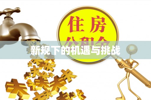 武侯新规下的机遇与挑战