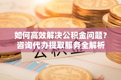 武侯如何高效解决公积金问题？咨询代办提取服务全解析