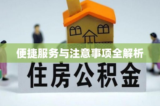 武侯便捷服务与注意事项全解析