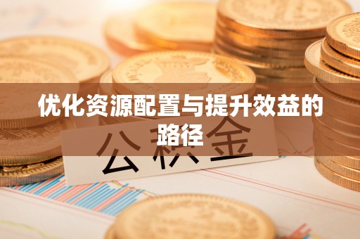 武侯优化资源配置与提升效益的路径