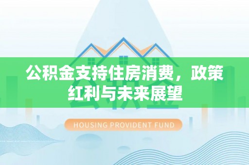 武侯公积金支持住房消费，政策红利与未来展望