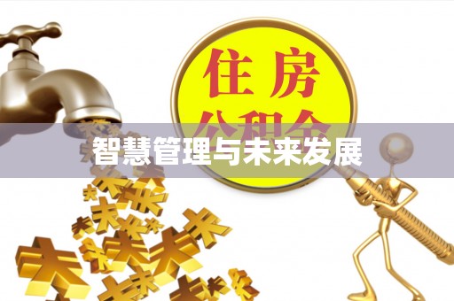 武侯智慧管理与未来发展