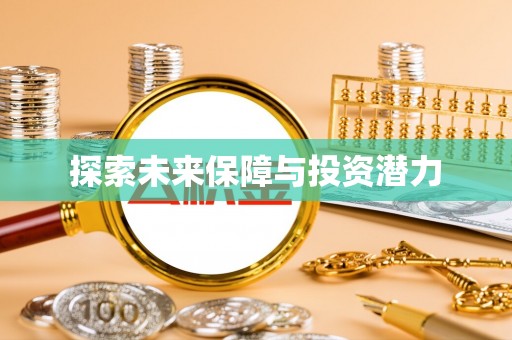 武侯探索未来保障与投资潜力