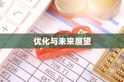 武侯优化与未来展望