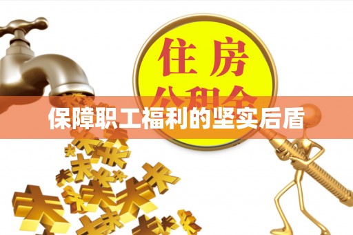武侯保障职工福利的坚实后盾
