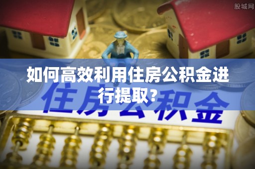 武侯如何高效利用住房公积金进行提取？