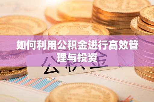 武侯如何利用公积金进行高效管理与投资