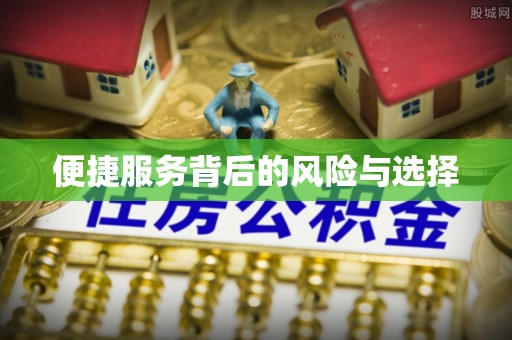武侯便捷服务背后的风险与选择