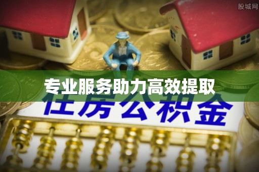 武侯专业服务助力高效提取