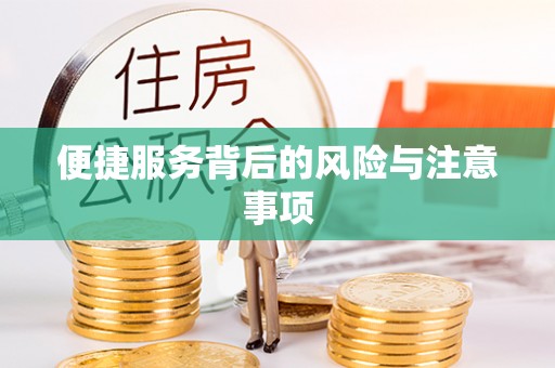 武侯便捷服务背后的风险与注意事项