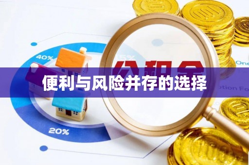 武侯便利与风险并存的选择