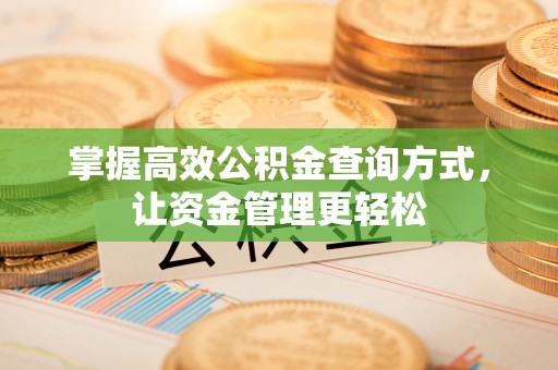 武侯掌握高效公积金查询方式，让资金管理更轻松