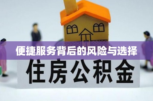 武侯便捷服务背后的风险与选择