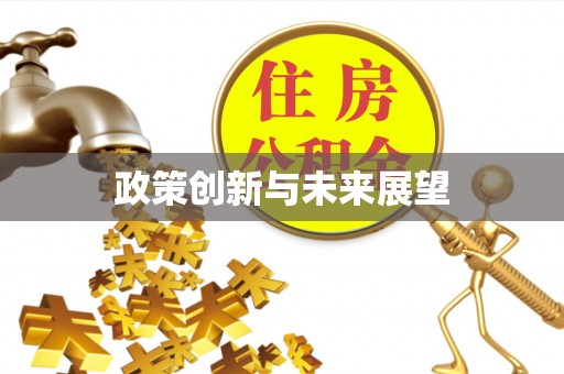 武侯政策创新与未来展望