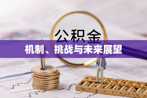 武侯机制、挑战与未来展望